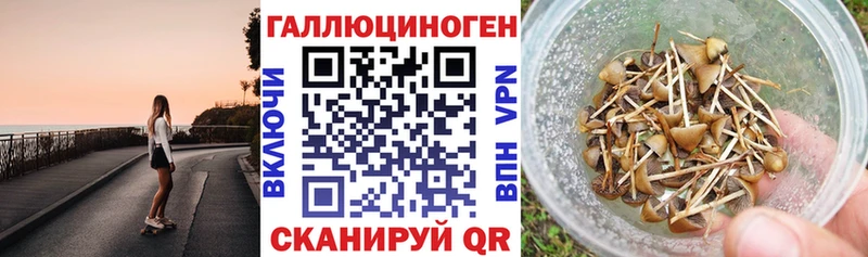 Псилоцибиновые грибы GOLDEN TEACHER  где можно купить   Чебаркуль 