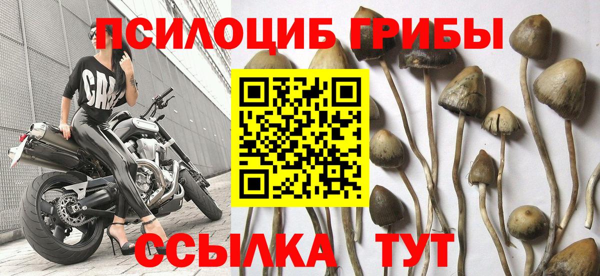 Галлюциногенные грибы мухоморы Чебаркуль